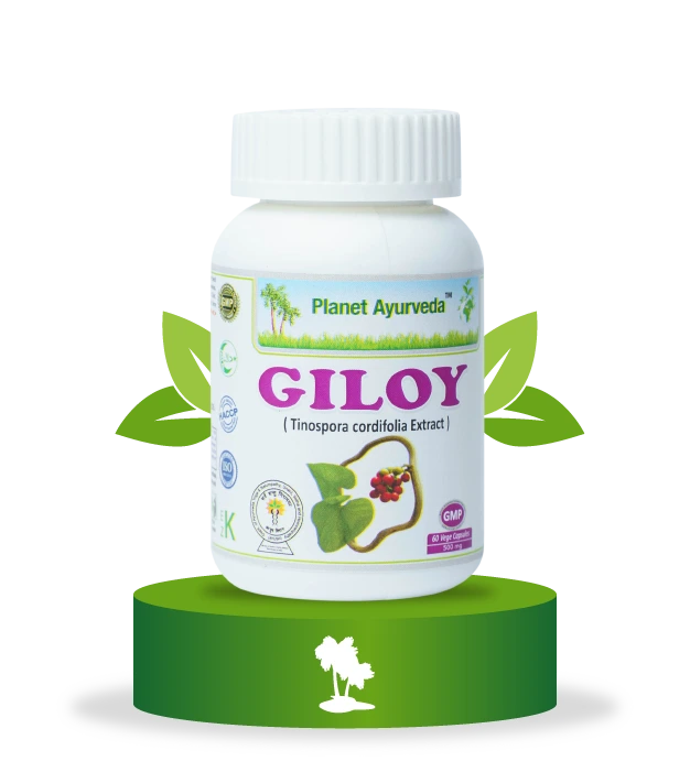 Giloy