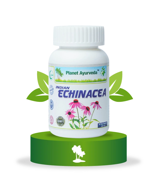 Ehinacea Planet Ayurveda dodatak ishrani za imunitet