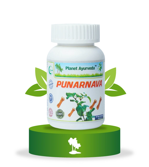 Punarnava Planet Ayurveda dodatak ishrani za bubrege i ravnotežu tečnosti