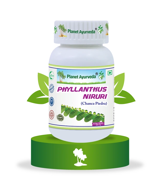 Phyllanthus Niruri Planet Ayurveda dodatak ishrani za jetru i bubrege